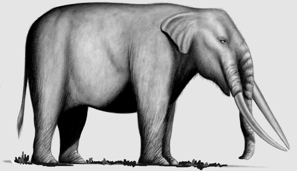 Descripci�n: Descripci�n: Descripci�n: C:\web 2020\Image1.jpg