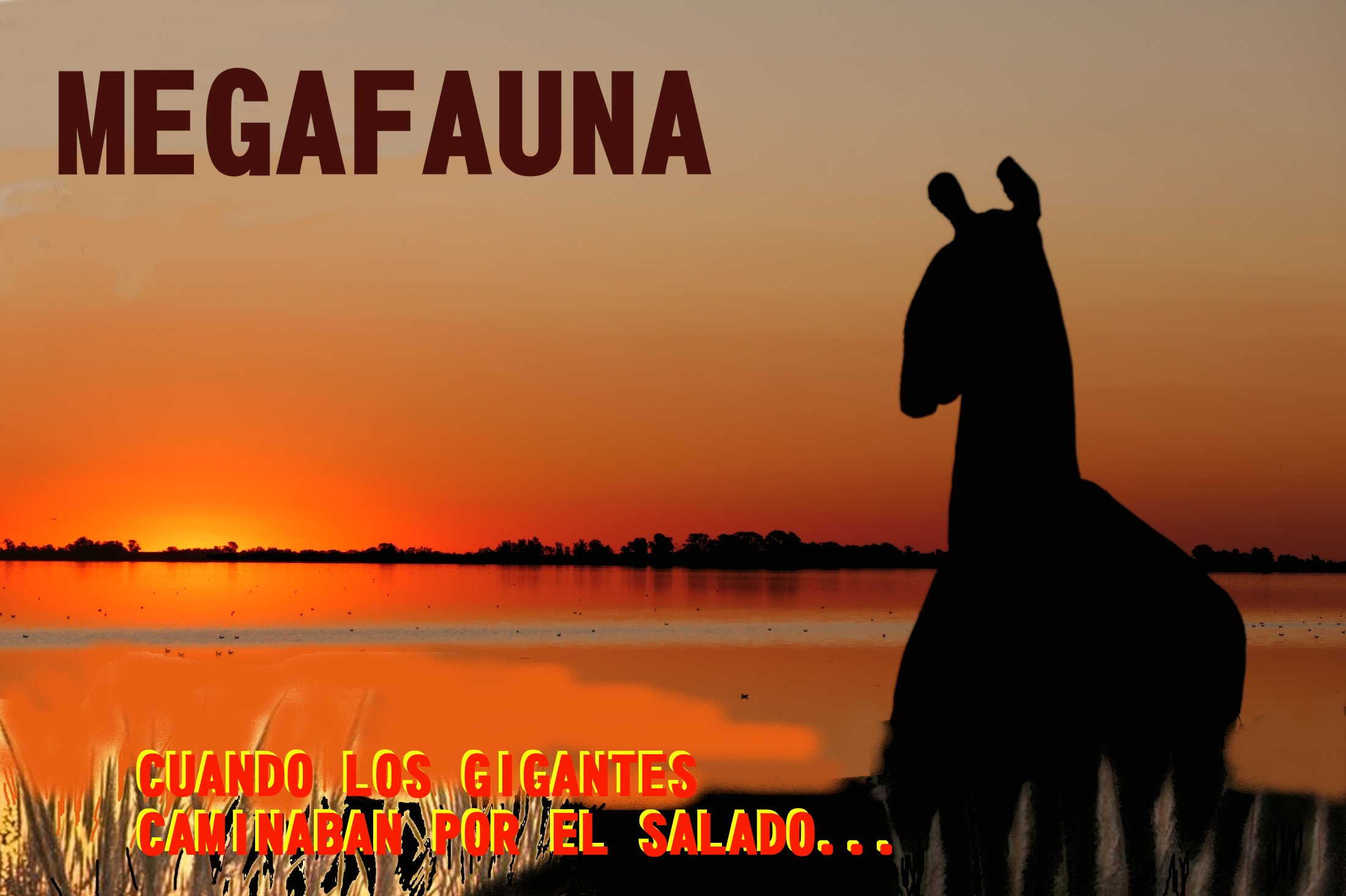 Descripción: Descripción: Descripción: C:\web 2020\h1.jpg